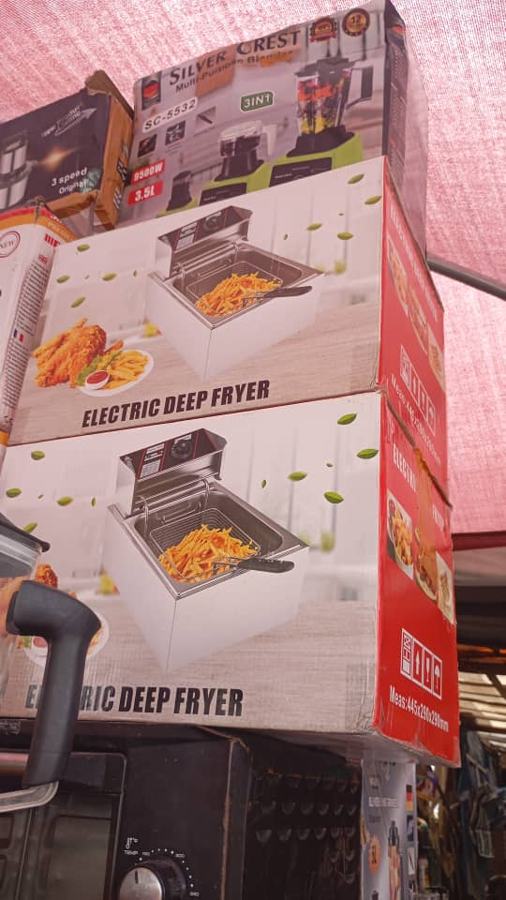 Electric Deep Fryer